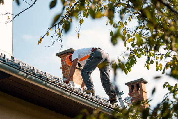 Best Flat Roof Repair Services  in Mountain View, HI